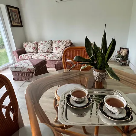 Apartment Neon Apartman Balaton Garden Csopak