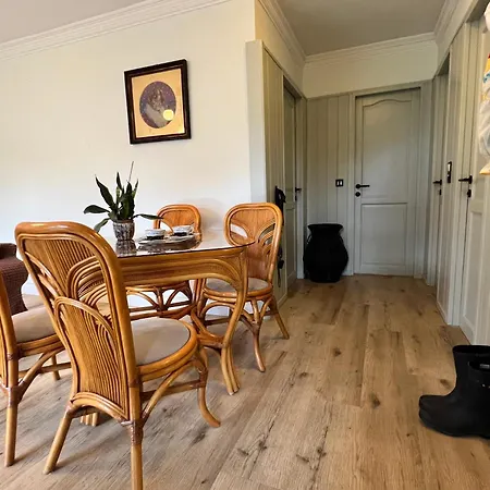 Neon Apartman Balaton Garden Apartment *